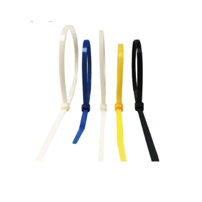 High Quality Label Natural Nylon Cable tie 